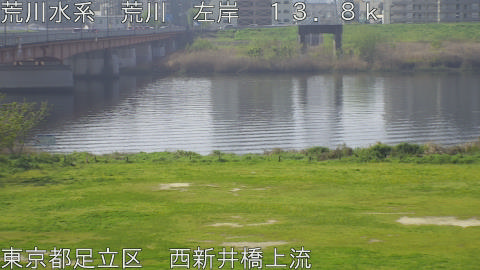 arani2026041109_image