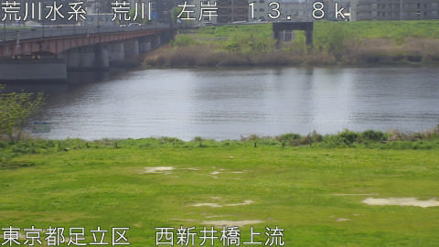 arani2026041110_image