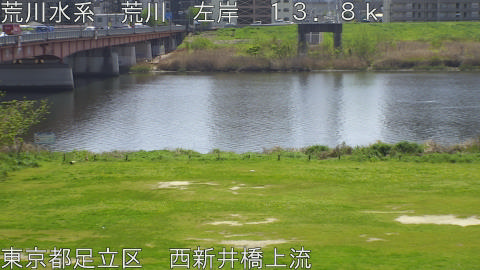 arani2026041112_image