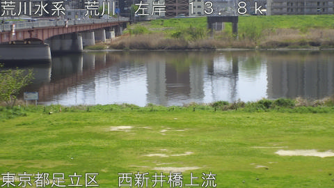 arani2026041113_image