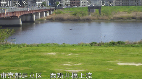 arani2026041114_image