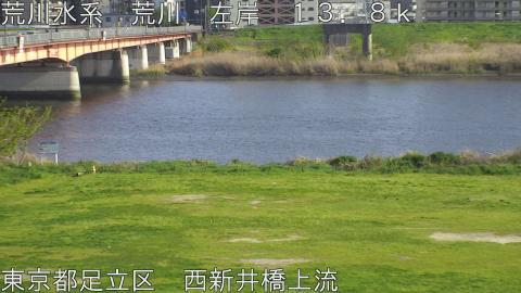 arani2026041116_image