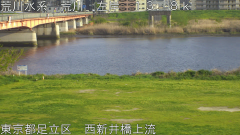 arani2026041117_image