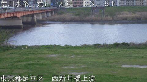 arani2026041118_image