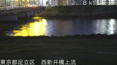 arani2026041119_image