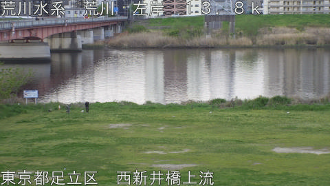 arani2026041206_image