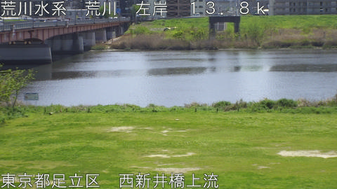 arani2026041212_image