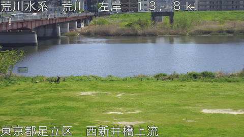 arani2026041213_image