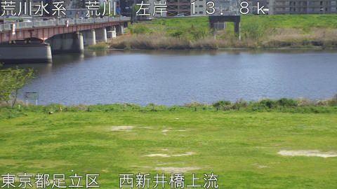 arani2026041214_image