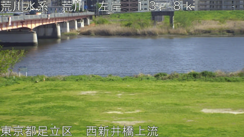 arani2026041215_image