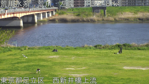 arani2026041216_image