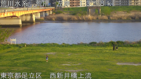 arani2026041218_image