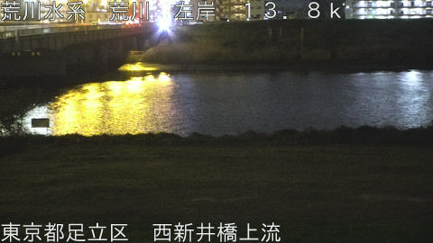 arani2026041221_image