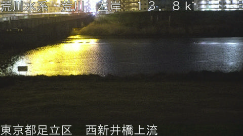 arani2026041223_image