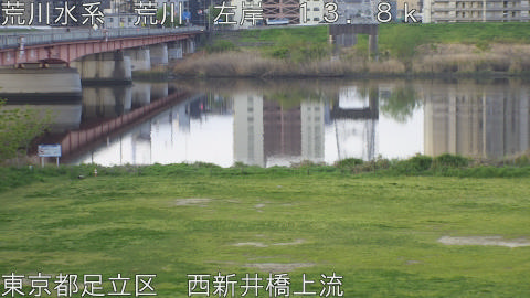 arani2026041306_image