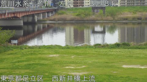 arani2026041311_image