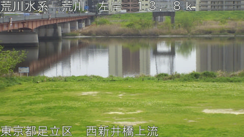 arani2026041312_image