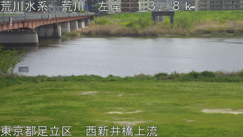 arani2026041313_image