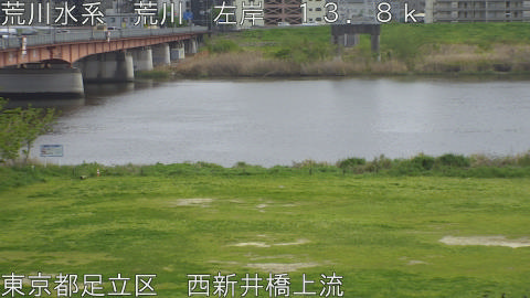 arani2026041314_image