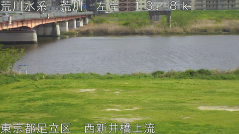 arani2026041315_image