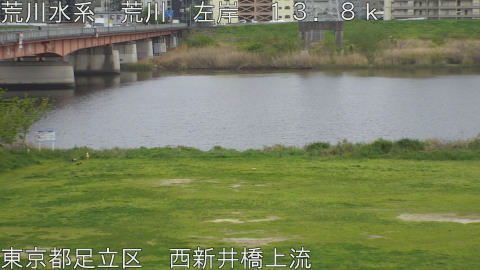 arani2026041316_image