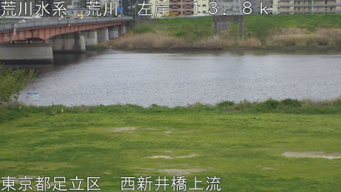 arani2026041317_image