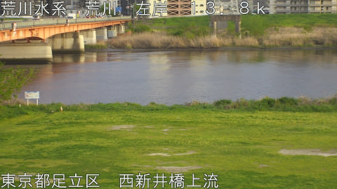 arani2026041318_image