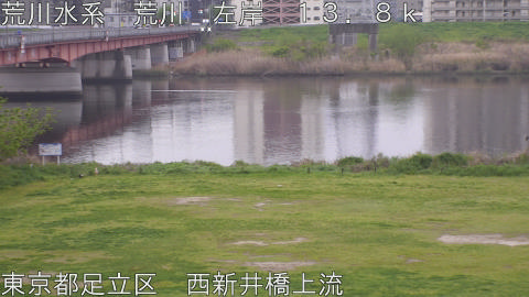 arani2026041406_image