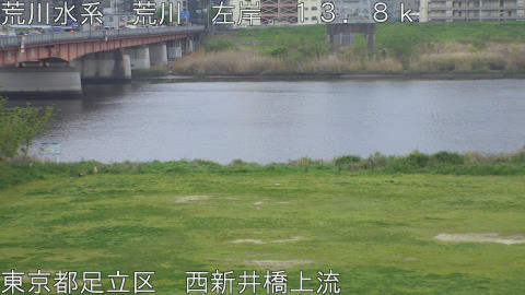 arani2026041407_image