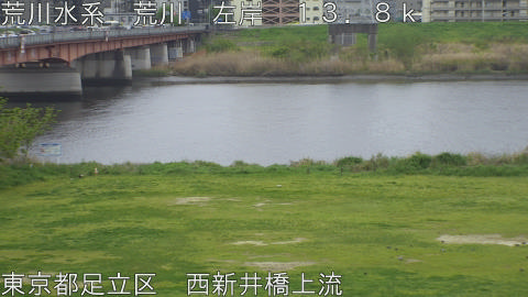 arani2026041408_image