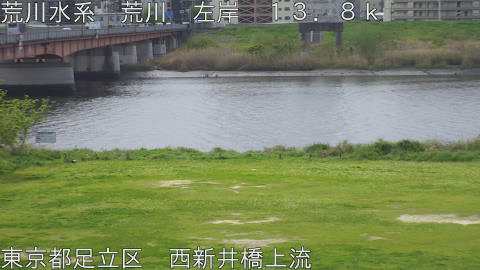 arani2026041410_image