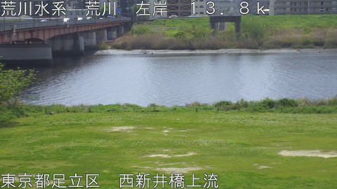 arani2026041411_image