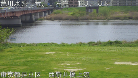 arani2026041412_image