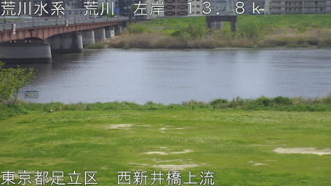 arani2026041413_image