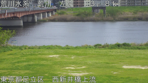 arani2026041414_image