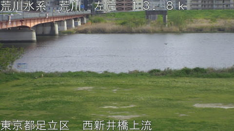 arani2026041415_image