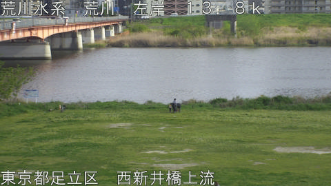 arani2026041416_image