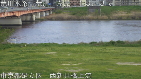 arani2026041417_image