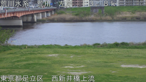 arani2026041418_image