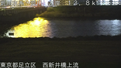 arani2026041422_image