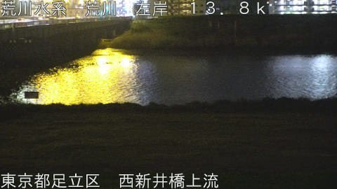 arani2026041423_image