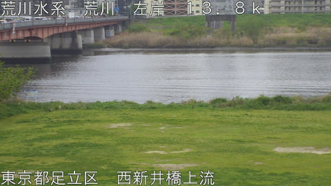 arani2026041508_image