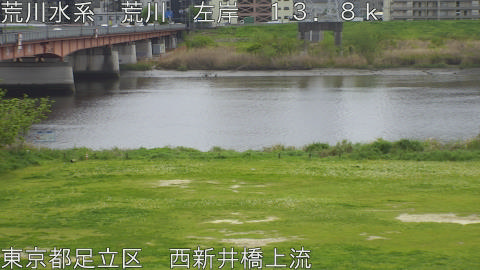 arani2026041512_image