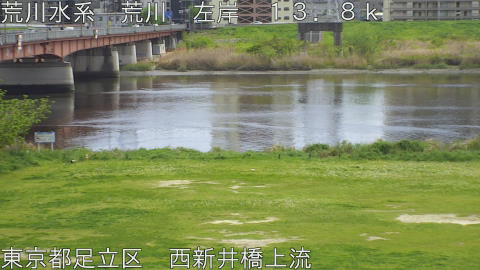 arani2026041513_image