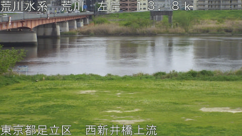 arani2026041514_image