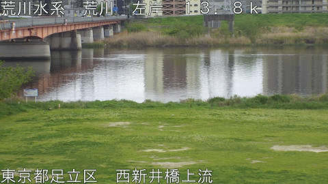 arani2026041515_image