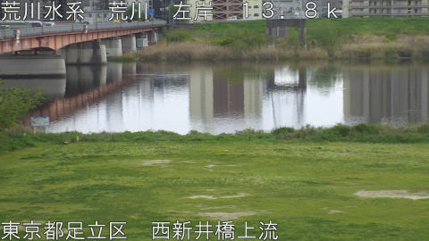 arani2026041516_image