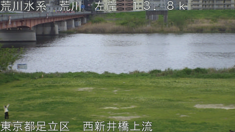 arani2026041517_image