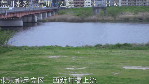 arani2026041518_image