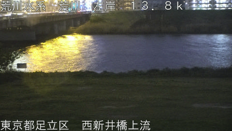 arani2026041519_image